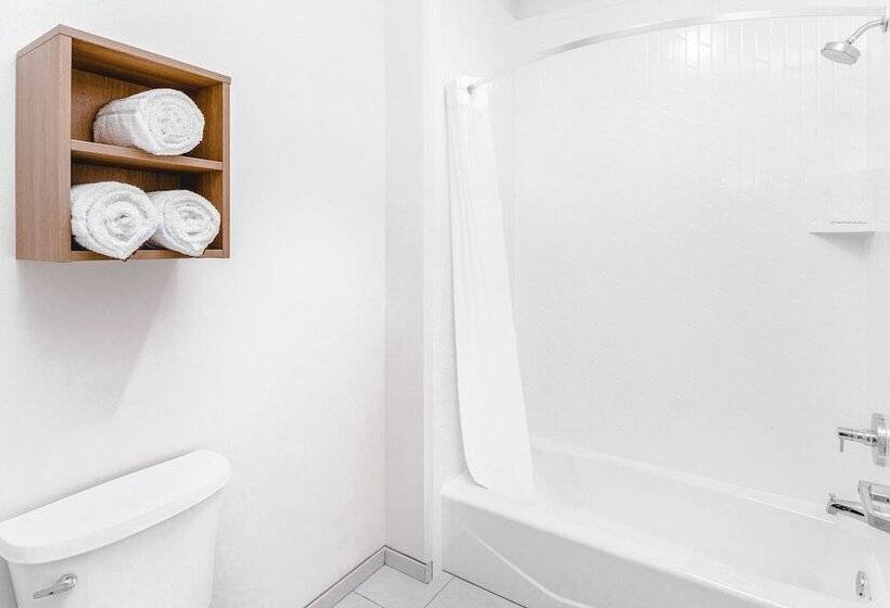 Отель Staybridge Suites Nashville Vanderbilt, An Ihg