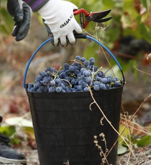 צימר Casa Da Piscina, Quinta Do Espinho, Douro Valley