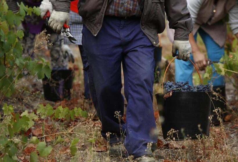 צימר Casa Da Piscina, Quinta Do Espinho, Douro Valley