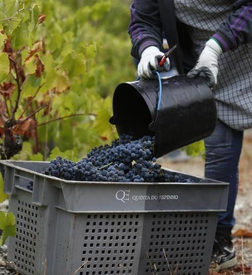צימר Casa Da Piscina, Quinta Do Espinho, Douro Valley