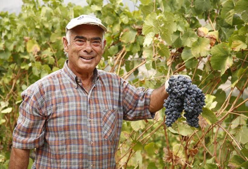 צימר Casa Da Piscina, Quinta Do Espinho, Douro Valley