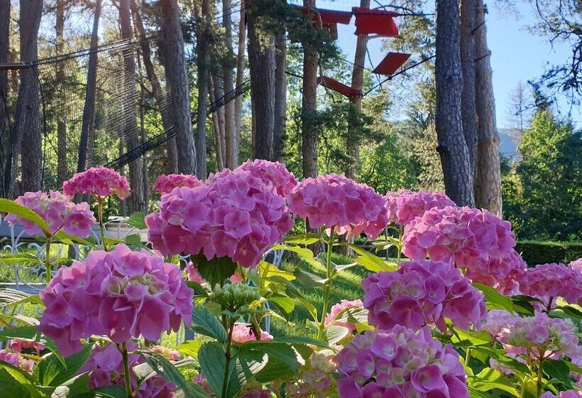 مبيت وإفطار Les O D Annecy