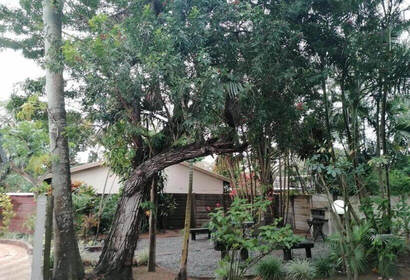 مبيت وإفطار Nqabanqaba