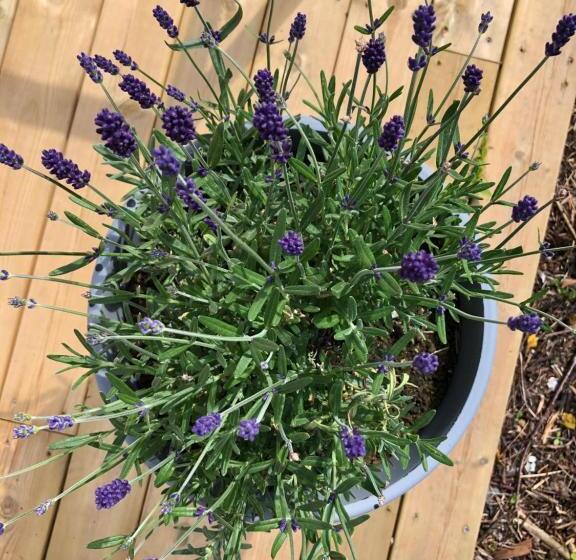 تختخواب و صبحانه Villa Sole, Trysil