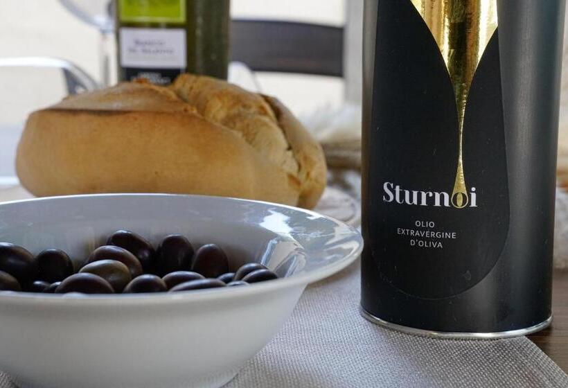 ホテル Borgo Santuri