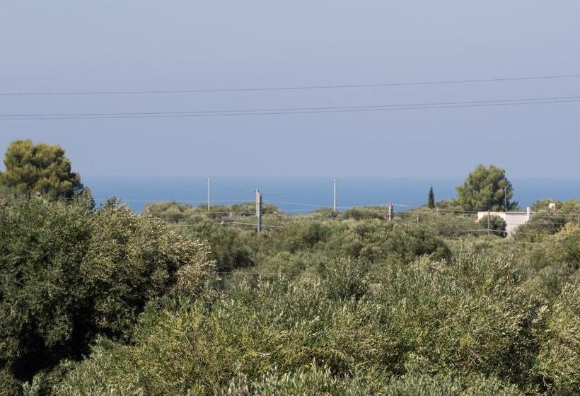 ホテル Borgo Santuri