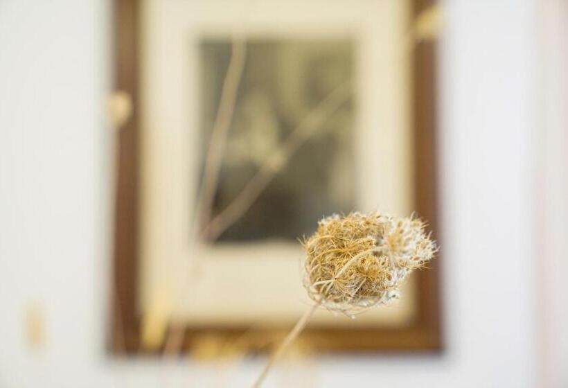 ホテル Borgo Santuri