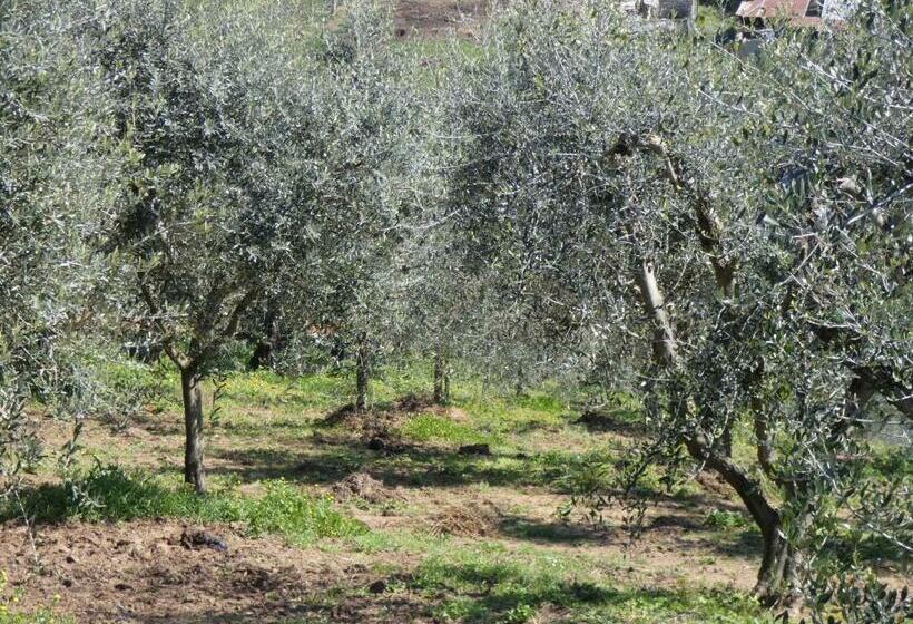 فندق I Due Melograni Agriresort