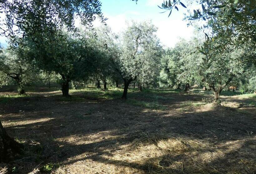 בית מלון כפרי I Due Melograni Agriresort