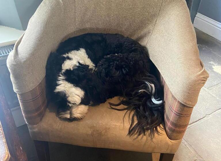 호텔 Kings Head Riverside, Ravenstonedale