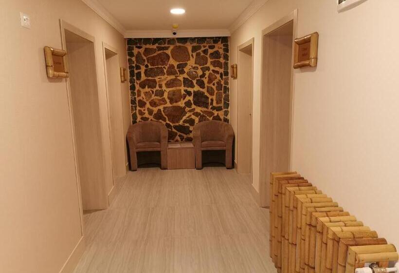 هتل Pensiunea Jojo Imperial Resort&spa