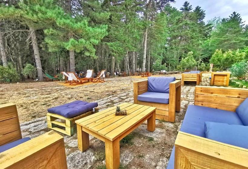 فندق Vallicciola Nature