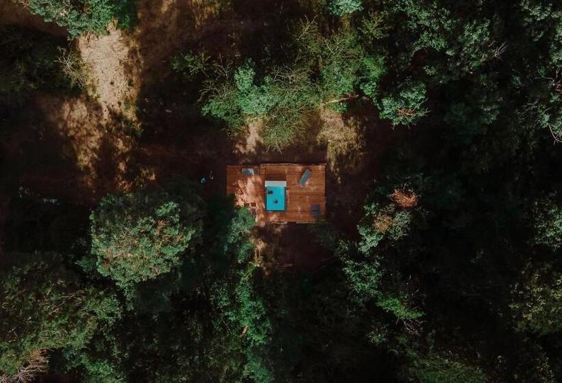 فندق Vallicciola Nature