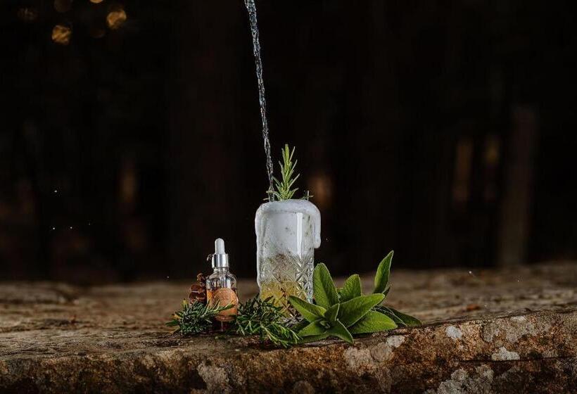 فندق Vallicciola Nature