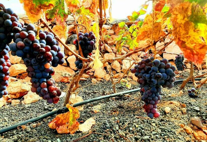 Пансион Agriturismo El Bounty