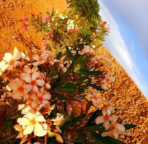 Пансион Agriturismo El Bounty