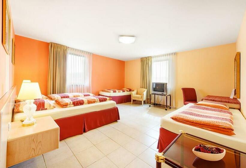 膳宿费 Penzion Putim