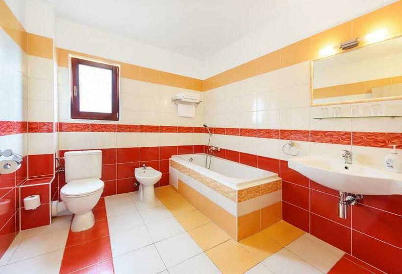 膳宿费 Penzion Putim