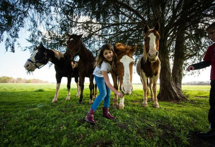 리조트 Southern Cross Guest Ranch
