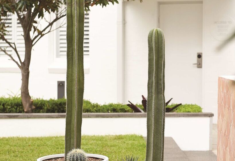 Adina Apartment Hotel Chippendale