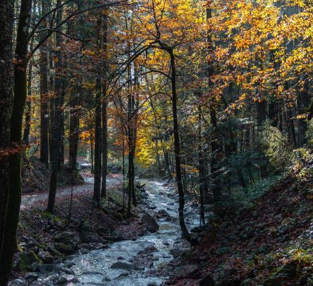 Berghotel Sonnenbichl