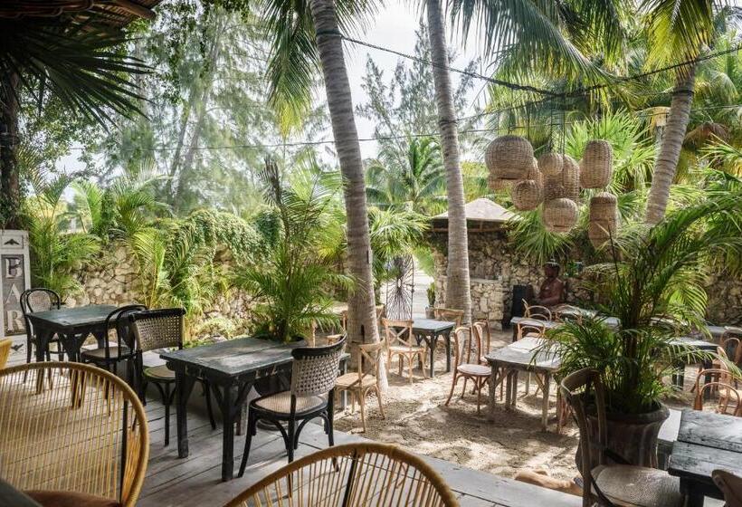 Casa Las Tortugas Petit Beach Hotel & Spa