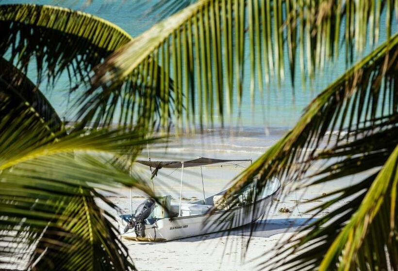 Casa Las Tortugas Petit Beach Hotel & Spa