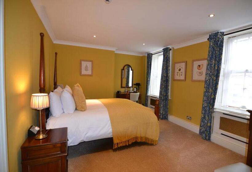 فندق Angel And Royal