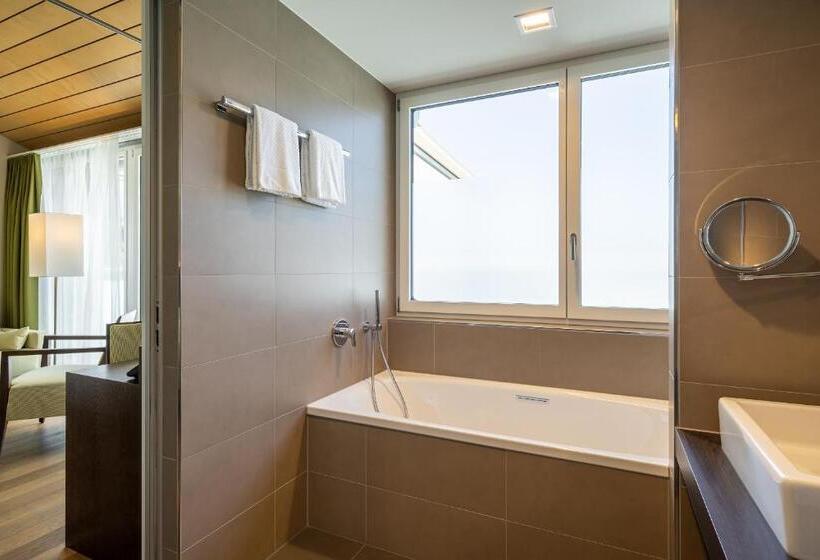 Отель Artos Interlaken