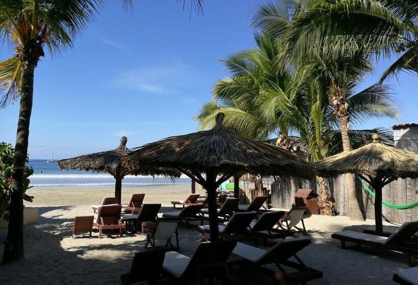 فندق Aura Del Mar