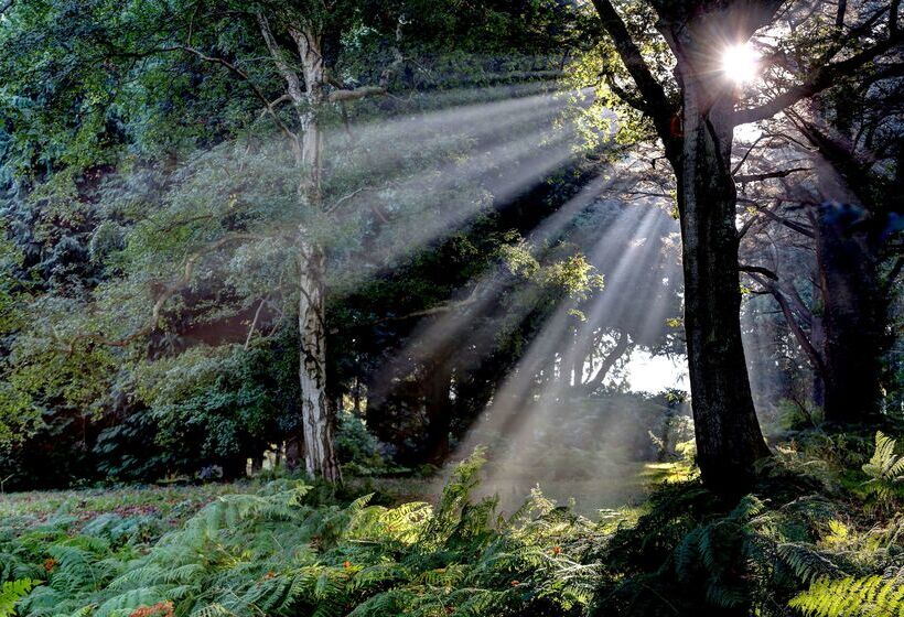 ホテル Best Western Chilworth Manor