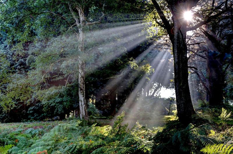 ホテル Best Western Chilworth Manor