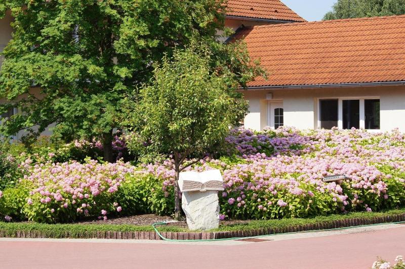 호텔 Bollmannsruh Am Beetzsee