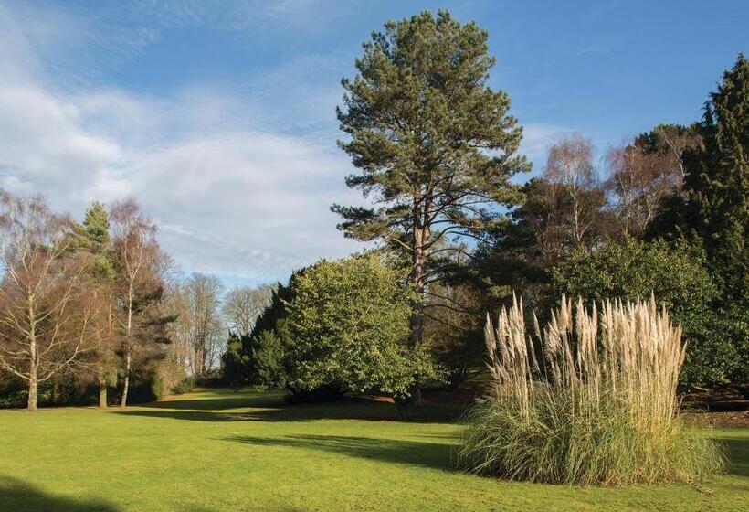 فندق Brandshatch Place & Spa