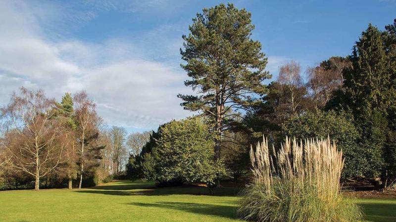 فندق Brandshatch Place & Spa