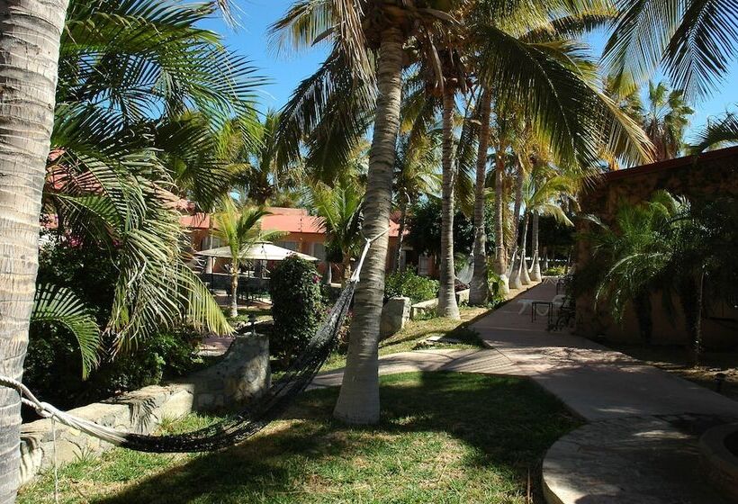 فندق Buena Vista Oceanfront & Hot Springs Resort