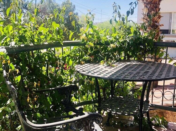 Business Hotel & Suites María Bonita