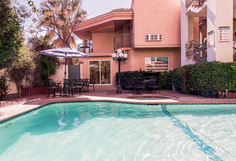 Business Hotel & Suites María Bonita