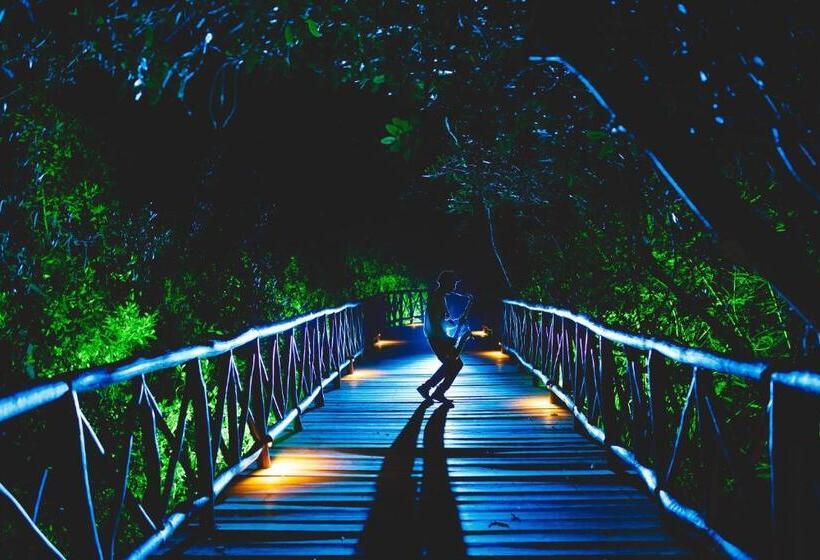 فندق Catalonia Royal Tulum Beach & Spa Resort - Adults Only - All Inclusive