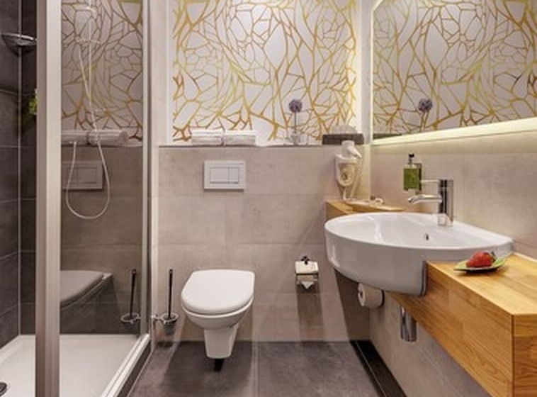 בית מלון כפרי Central