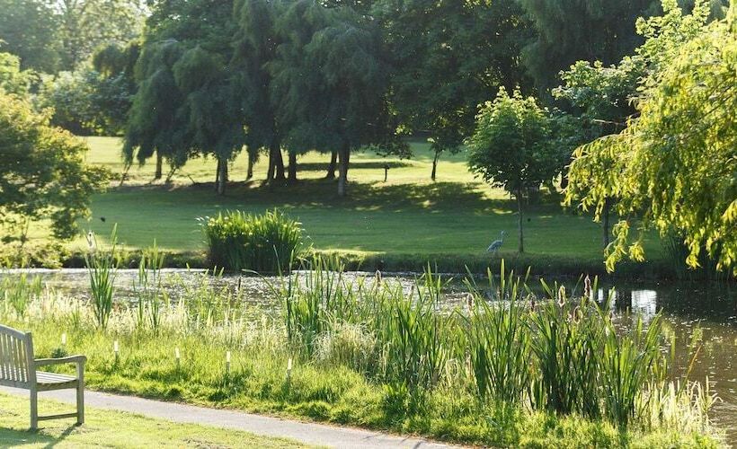 فندق Champneys Springs