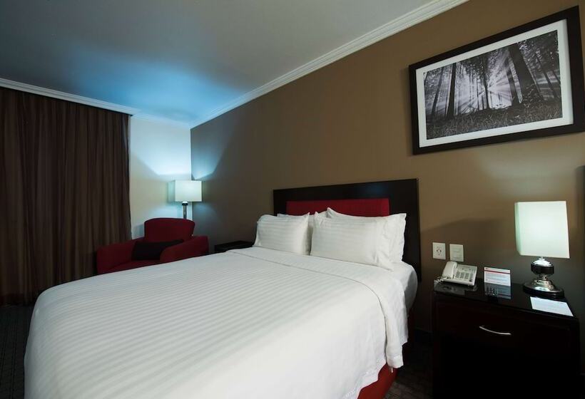 ホテル Ramada By Wyndham Ciudad De Mexico Perinorte