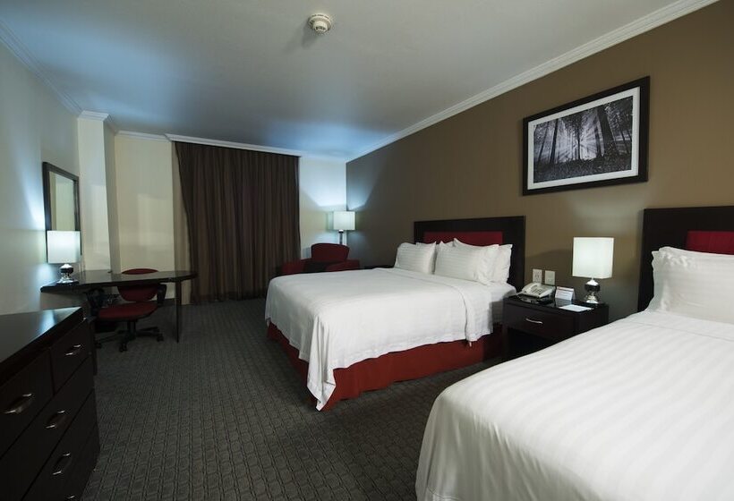 ホテル Ramada By Wyndham Ciudad De Mexico Perinorte