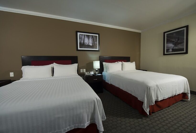 ホテル Ramada By Wyndham Ciudad De Mexico Perinorte