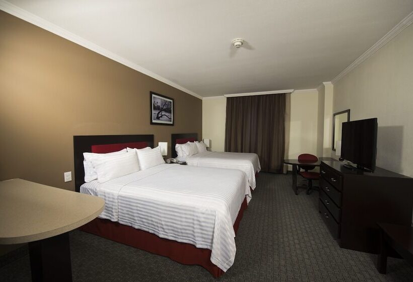 ホテル Ramada By Wyndham Ciudad De Mexico Perinorte