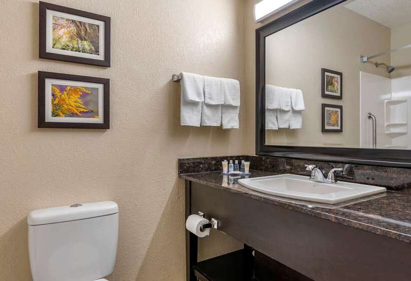 ホテル Comfort Inn Airport Turfway Road
