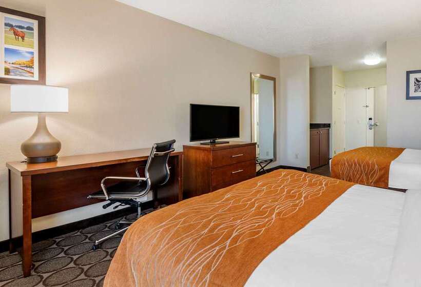 ホテル Comfort Inn Airport Turfway Road