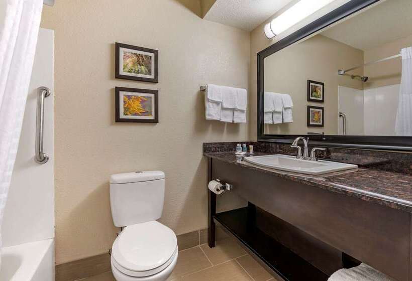ホテル Comfort Inn Airport Turfway Road