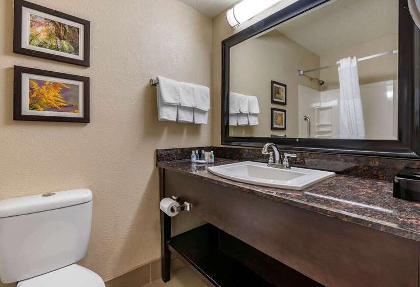 ホテル Comfort Inn Airport Turfway Road