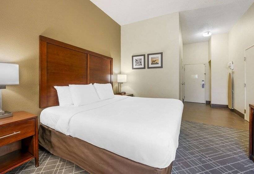 ホテル Comfort Inn Airport Turfway Road